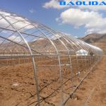 Crops Hoop House Greenhouse / High Tunnel Hoop House Plastic Covering