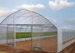 Commercial Plastic Film Greenhouse , Single Span Greenhouse For Flower