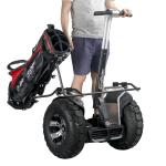 4000w Two Wheeled Electric Scooter E8-2 Dual Motor Self Balance Scooter