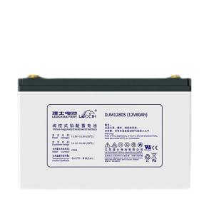 Wholesale Leoch Battery DJM1280S 12V80Ah for UPS Communication Solar Energy Storage Power System from china suppliers