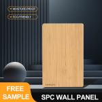 SPC Wall Panel Promotion 600*2440*4mm Waterproof Stone Plastic Eco-Friendly