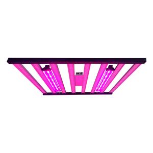 Wholesale 800W 8Bars Osram 660nm Horticulture Grow Lights For 4x4 Ft Hydroponics Garden from china suppliers