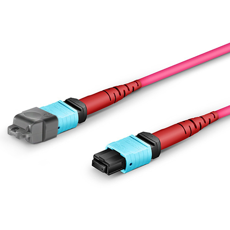 24 Fibers Cluster Branch MPO/MTP Single Mode Fan-out Patch Cord with Return Loss ≥ 50dB