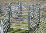 Australia Standard 6 Rail Steel Cattle Fence 40x80 Oval Rail Metal Livestock