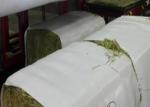 Woven Polypropylene Hay Bale Packaging Fabric Non Toxic 60 Gsm - 120 Gsm Density