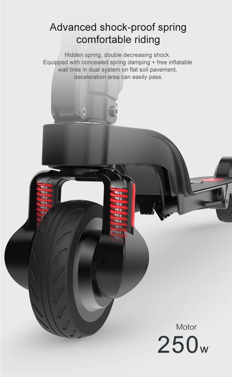 Lightweight Powerful Electric Scooter 250W Li Ion Battery 100KG Max Load