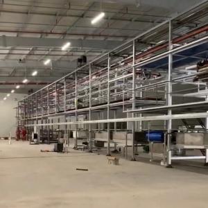 Wholesale Polyethylene Latex Gloves Production Line Plastic Rubber Nitrile Surgical Medical Disposable from china suppliers