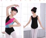 New Swan Lake Ballet Dance Costumes Kids Tutu Ballet Practice Bodysuits