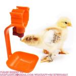 Automatic Chicken Feeders Drinkers Nipple Drink Line Hanging Cups Poultry
