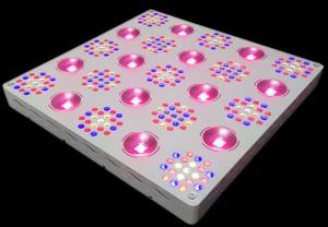 Wholesale Reliable Industrial LED Grow Lights Full Spectrum Wavelength Uniform Color Blending UV from china suppliers