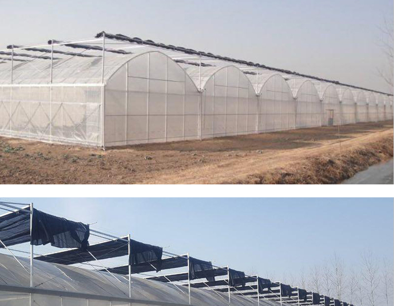 Multi-Span Agricultural Greenhouses Double Layer Vertical Hydroponic System Upgrade