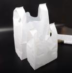 100% Compostable Biodegradable Shopping Bag PLA For Food Fruit BPI Certified