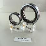 Cylindrical Structure Long Life NU/NJ/NF210ECP Single Row Roller Bearing 50*90