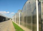 Flower Large Polycarbonate Greenhouse Strong Thermal Insulation Sides Ventilatio