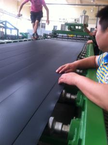 Wholesale 600-1500mm Width 1-3mm Thickness Geo Cell Line for Homo Sapiens State-of-the-Art Sheet Manufacturing from china suppliers