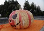 Outdoor Air Balloon Advertising , Halloween Decoration Inflatable Pumpkin Ball