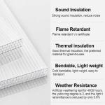 Pc Danpalon De Policarbonato Plastic Twin Wall Polycarbonate Sheet for Green