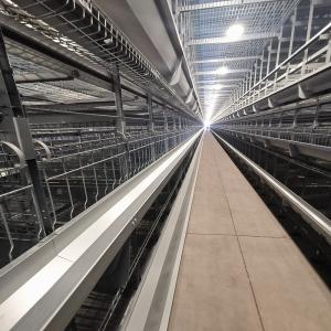 Wholesale 54-384 Birds/Set Layer Bird Cage , SONCAP Battery System Of Poultry Farming from china suppliers