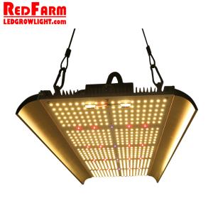 Wholesale Greenhouse UV IR Full Spectrum 240w Led Grow Lights from china suppliers
