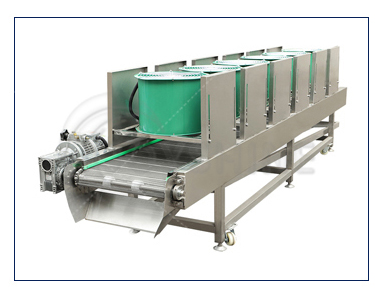 Food Industry Equipment Frozen French Fries Production Line with 100kg/h Capacity