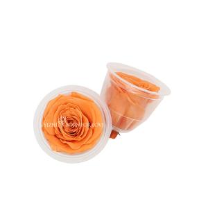 Wholesale Long Stem Infinity Dried Long Lasting Roses In Box For DIY Projects from china suppliers