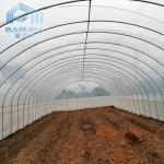 Winter Warm Tomato Anti Fogging Non Drop Plastic Film Greenhouse Tunnel Plastic