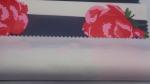 PU Coated Winter Jacket Fabric 237 GSM Windproof Rose Printed