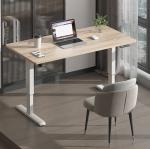 Modern 2 Stage Smart Electric Height Adjustable Computer Gaming Desk for Living