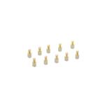 Wholesale Brass Fastenter Bolt Screw Rivets Nuts For Planet Custom Avaible