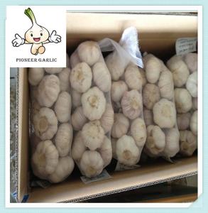 Wholesale New Crop Fresh White Garlic Exporter Normal White Garlic - Jinxiang New Crop from china suppliers