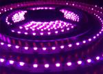UVA UV C Germicidal Purple Led Light Strip SMD335 uv led strips 254nm 360nm