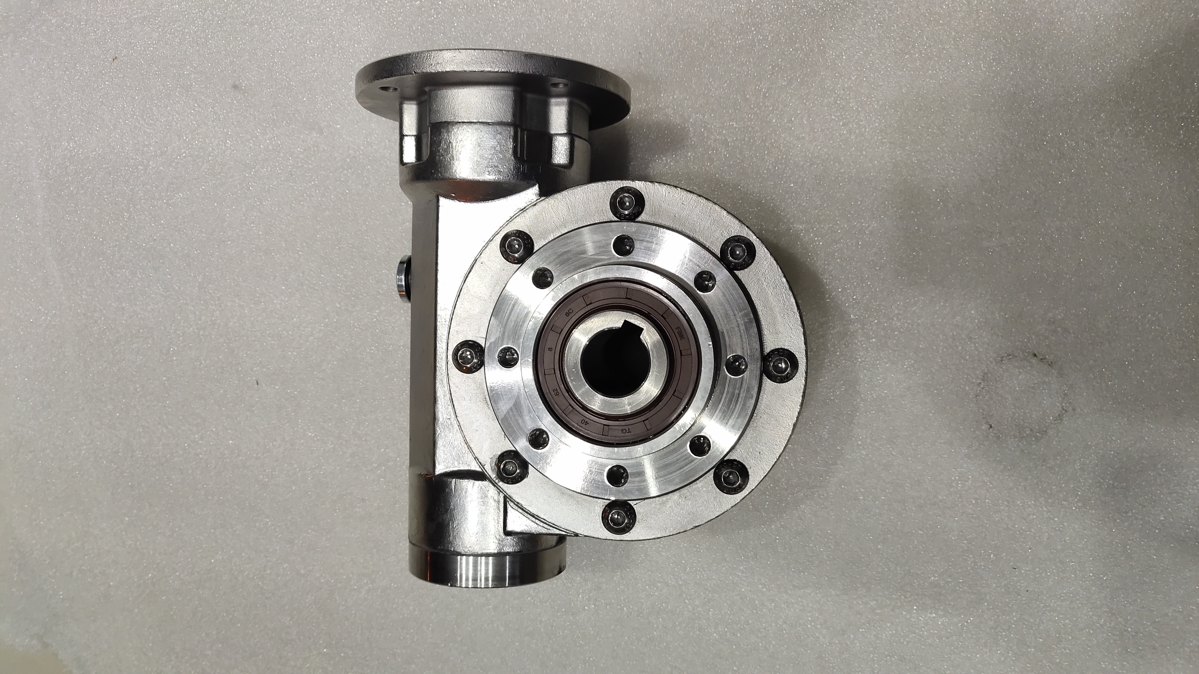 Ss304 Stainless Steel VF63 Worm Reduction Gearbox