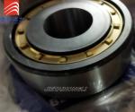 Construction Machinery Rotary Drilling Rig Parts Slewing Bearing Od500mm