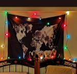 25ft Multi Color Christmas Lights C7 Ip44 For Holiday Party Wedding