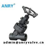 1 Inch 800Lb Pressure Seal Bonnet Globe Valve Y Type A105N F304 F316 Body