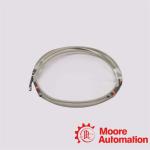 FS-CCI-HSE-30 Honeywell Red Ethernet Cable