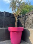 Large Resin Flower Vase Fiberglass Outdoor Pots Customizable Logo Size
