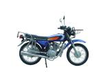 125CC Gas Powered Motorcycle , Enduro Sports Gas Engine Motorcycle Triumph
