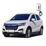 s Top-Selling Low-Speed Electric Vehicle Hongri's 2024 5-Door 4-Seat Commuter