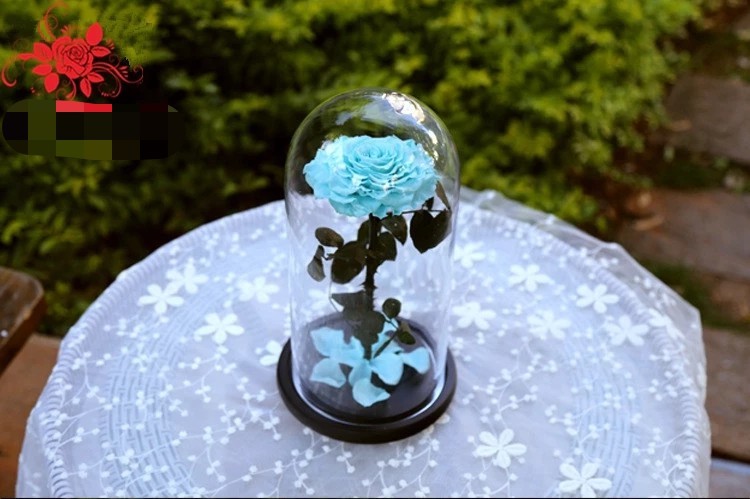 Luxury rose large size preserved rose 10cm in big long glass dome Natural Fresh flower rose