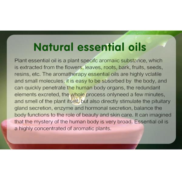 Dituo 5ml Wood Grain Essential Oil Diffuser , RoHS Home Fragrance Machine