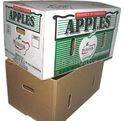 Felxo Color Printed Factory Price Carton Box