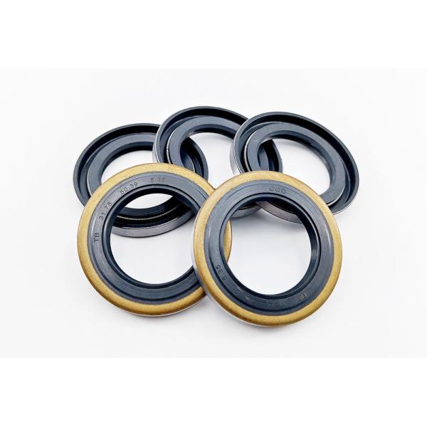 Large Size TB Type Ant Aging Dust Proof Skeleton Oil Seal
