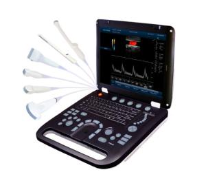 Wholesale 4D Color Doppler Ultrasound Scanner with 3.5MHz / R40 Volume Probe from china suppliers