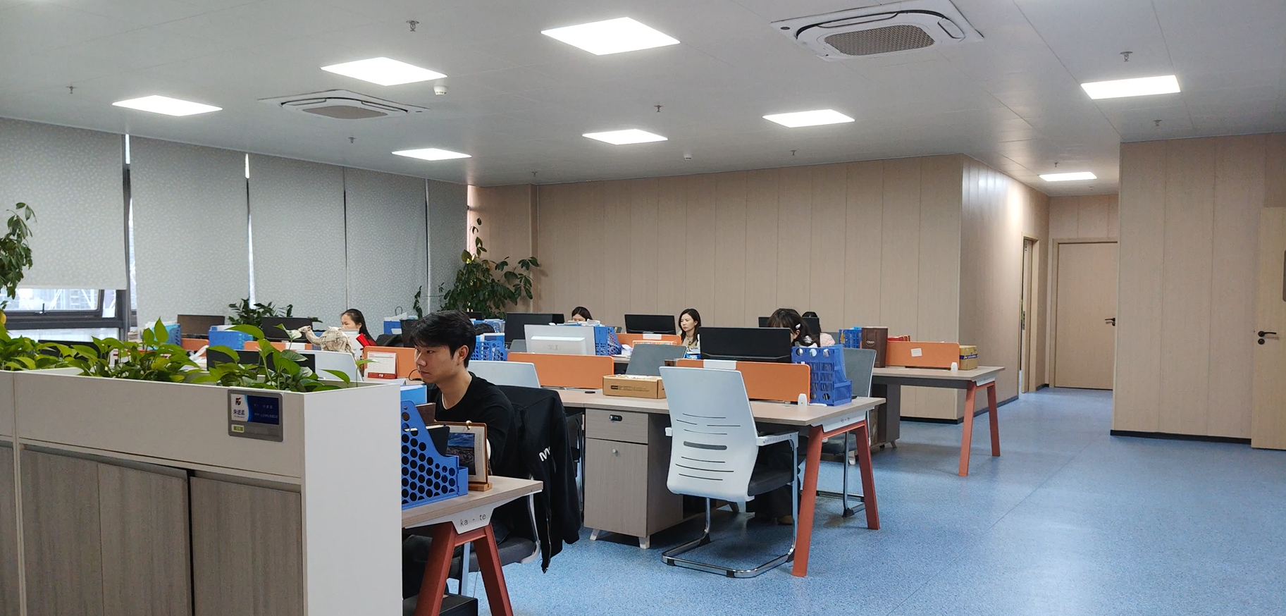 China Chips Star Semiconductor technology overview and capabilities