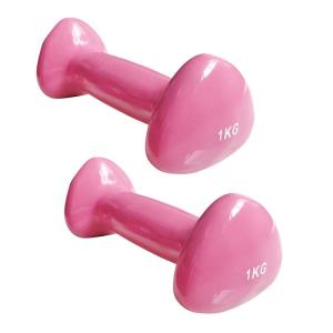 Wholesale Cast Iron Gym Equipment Dumbbells Vinyl Dipping Neoprene Coated Colorful from china suppliers