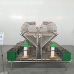 Q235 Steel wire / Plastic Rabbit Cage , Battery Operating Luxury Rabbit Hutch