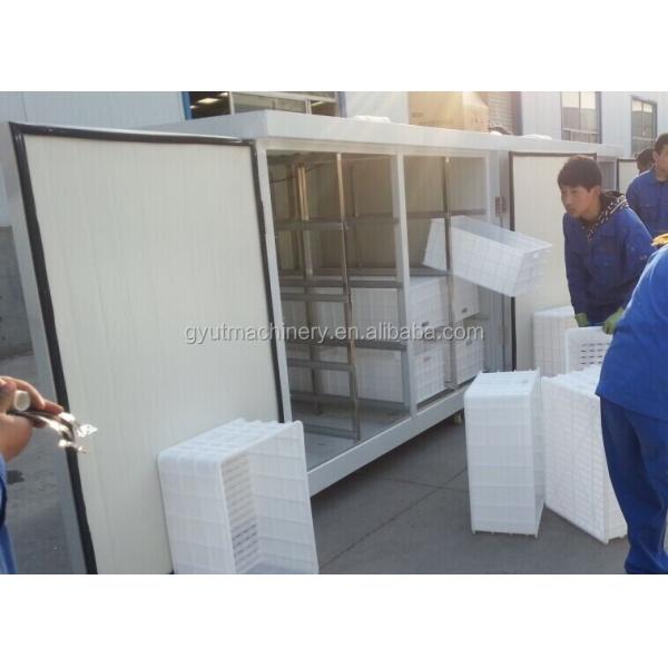 61*44*27cm Sprout Making Machine The Ultimate Solution for Hydroponic Grass Microgreens