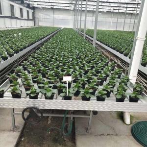 Wholesale ABS Plastic Greenhouse Accessories Greenhouse Rolling Bench PEP Film Covering from china suppliers