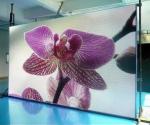 P4.81 Outdoor Advertising Led Display Screen MBI5124 1920Hz 500mm*1000mm